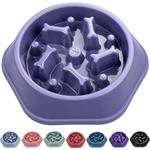 Gamelle pour chien à alimentation lente, anti-étouffement, gamelle pour chien à alimentation lente,