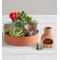 1-800-Flowers Plant Delivery Cactus Dish Garden Plant W/ Incense Holder