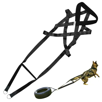 Hund Gewicht Ziehen Harness Starke Nylon Haustiere Harness für Deutsch Shepherd Große Hunde Agilität Image