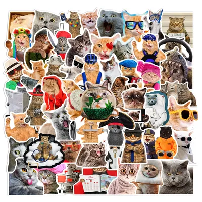 66pcs lustige niedliche Katze Aufkleber Cartoon Aufkleber Tasse Briefpapier Gitarre Telefon Fahrrad Image