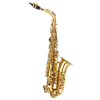 Stylish Mid-range Alto Drop E Lacquered Golden Saxophone Painted Golden Tube with Carve Patterns