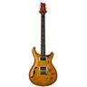 PRS DGT Semi-Hollow LTD