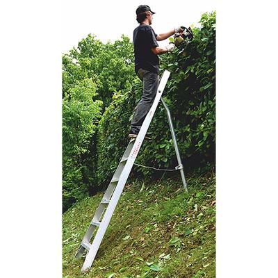 Leiter Experten - Obstleiter mit 6 Sprossen und obere Spitze - Max. Arbeitshöhe 2.74m Image