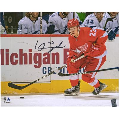 Signiertes NHL-Eislauffoto von Lucas Raymond von den Detroit Red Wings, 16 x 20 Zoll Image
