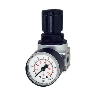 Riegler - Druckregler »multifix-mini« inkl. Mano, bg 0, g 1/8, 0,5 - 16 bar Image
