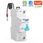 Interruttore Automatico mcb da 63A Smart wifi con Contatore di Energia 1 Pulsante - Tuya