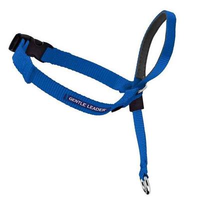 PetSafe Gentle Leader Royal Blue Headcollar - Royal Blue Large