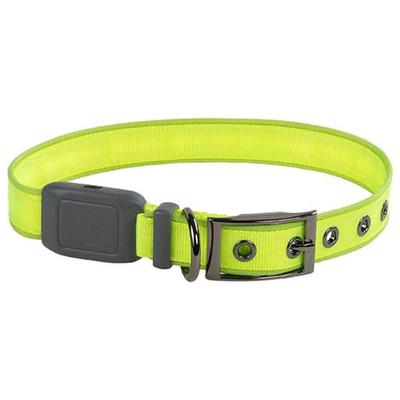 NiteDog Rechargeable XL Dog Collar - Lime 24-28in