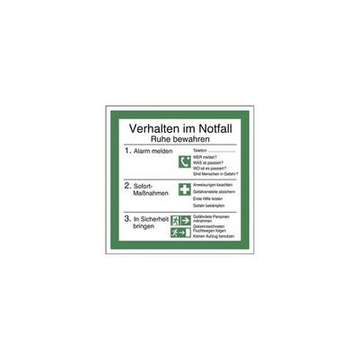 LimarLite Sicherheitsaushang »Verhalten im Notfall« 20 x 20 cm Folie (0,4 mm), 20x20 cm Image