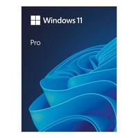 Microsoft Betriebssystem »Windows 11 Pro«, 64bit DSP-Version