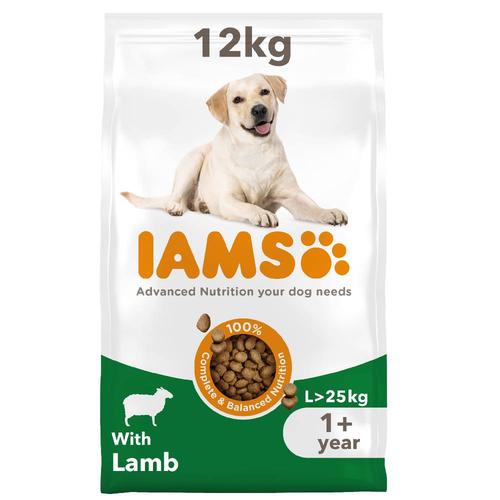 Sparpaket:2x12kg IAMS Advanced Nutrition Adult Large Dog mit Lamm Hundetrockenfutter