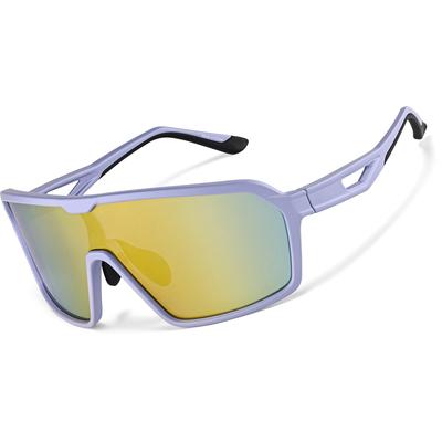 Zenni Sunglasses Purple With Gold Mirror Plastic Full Rim Frame
