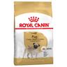 2x7.5kg Pug Adult Royal Canin Dry Dog Food