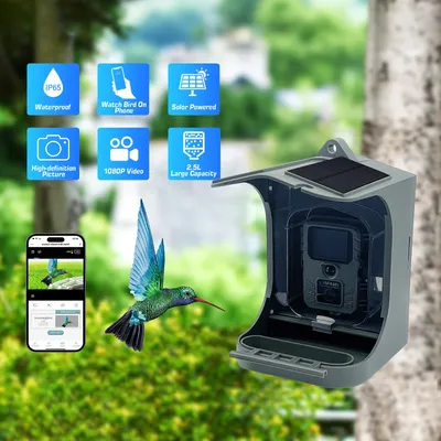 Solar betriebene 1080p drahtlose WiFi Smart Bird Feeder Kamera wasserdichte Vogel beobachtungs kamera Jagd kamera Trail Kamera