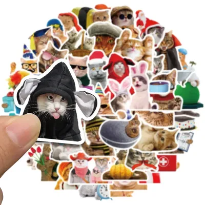 Lustige süße MEME Katze Tiere Aufkleber Kawaii Katzen Graffiti Aufkleber Scrapbooking Notebook Image