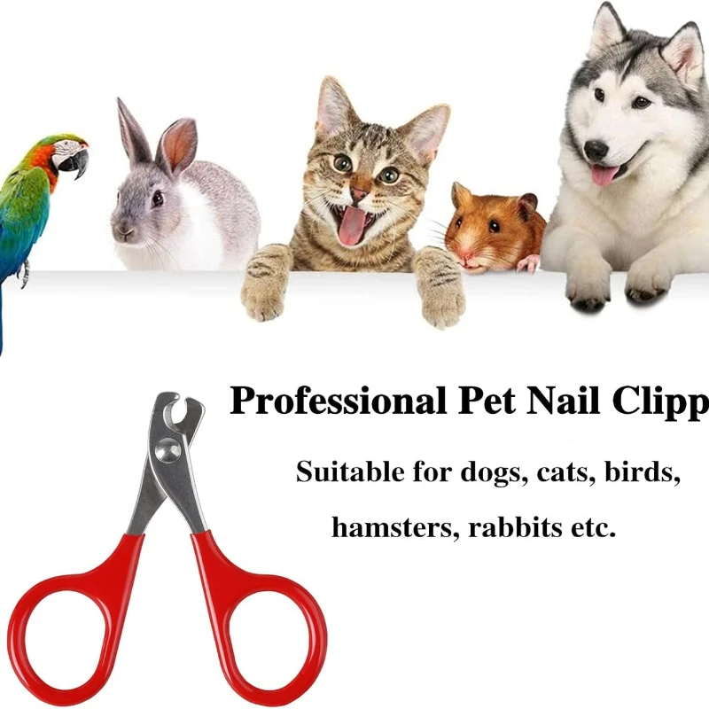 1pc Katze Nagels chere Haustier Nagel knipser Edelstahl Schere Katze Pflege Nagel knipser Cutter für kleine Hunde Katzen Haustier liefert Image