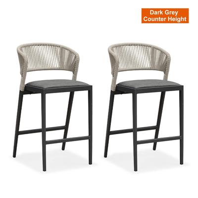 PURPLE LEAF Outdoor Dining Chairs Set of 2 Patio Bar Hight Stools with Cushion
