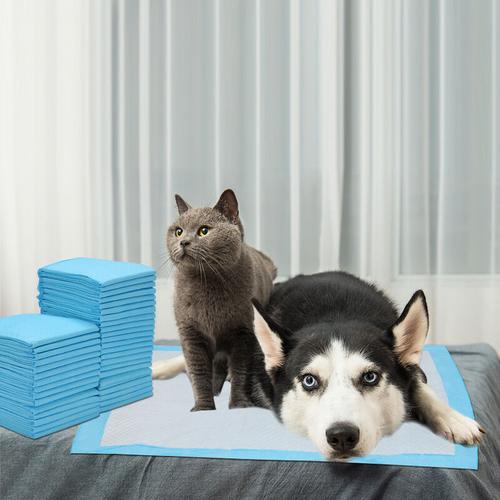 Hengda 120X Welpenunterlage 60X60cm Hunde-Pads Training Pads saugstark Welpentoilett Katzen Hundeklo