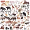 Oenux realistici animali selvatici Action Figures giocattoli animali Zoo leoni tigri orso Panda solido PVC modello figurine giocattolo per bambini regalo