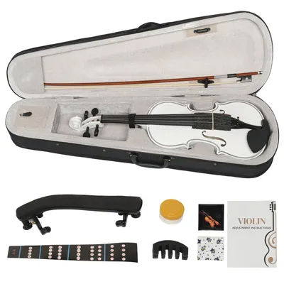 Full Size 4/4 Violin Set for Adults Beginners Students with Hard Case,Shoulder Rest,Rosin,Extra