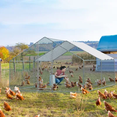 13 x 10 foot large metal chicken cage, walk-in poultry cage with waterproof cover, outdoor farm