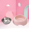 Dog Feeding Bowl Pet Tableware Drinking Dish Stainless Steel Sealed Dog Bowl Pink Green Blue Cat