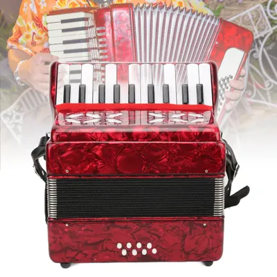 IRIN Accordion Piano 8 Bass 22 Key Playing Musical Instruments for Children Beginner 22-key 8-bass