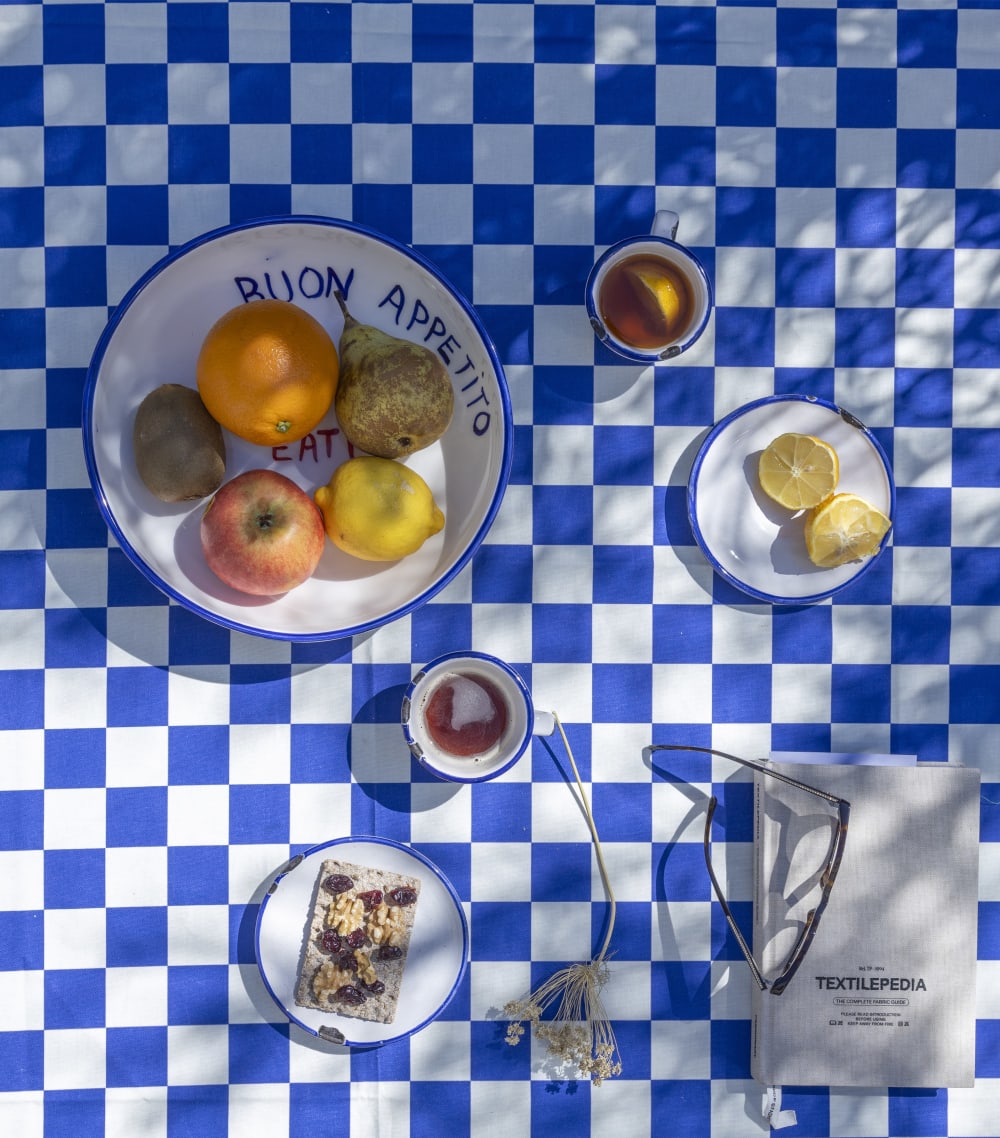 Tovaglia blu e bianca a quadretti