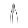 Alessi - Presse-agrumes Juicy - Métal - Fonte d'aluminium - Designer Philippe Starck