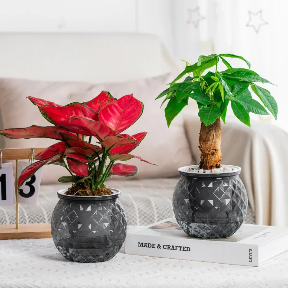 Kreative selbst bewässernde hydro po nische Pflanzen Topf Kunststoff abnehmbare Mini Sukkulenten Pflanzer Tischplatte Vase Blumentopf Image