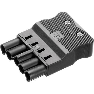 Adels Contact - Adels-Contact 18004 Netz-Steckverbinder ac Stecker, gerade Gesamtpolzahl: 4 + pe 16 Image