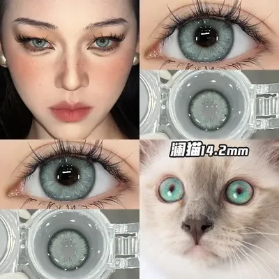 OVOLOOK-1 Pair Blue Contact Lenses Colored Eyeglass Lenses Pupils Myopia Eye Color Lenses 10 Tone Grey Brown Green Lens for Eyes