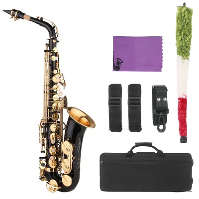 Saxophone Black Paint Sax for Beginner Student Intermediate Player Brass Saxophone with Mouthpiece