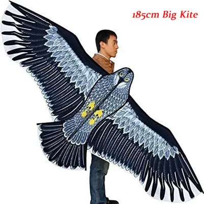 New Outdoor Fun Sports Huge 71Inch Eagle Kite With Handle Line Novelty Toy Kites For Adult /Kids Large Good Flying