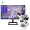 MS4K01 14MP 4K 60fps HDMI USB Industry Video Microscope Camera C-Mount Software di controllo lente