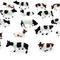 20Pcs 1:87 Ho Scale Model Painted Farm Animals Miniature Cows For Model Railway Layout Mini Model Farm Landscape Making