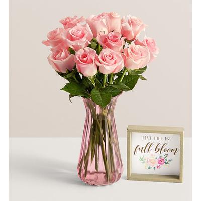 1-800-Flowers Flower Delivery Pink Petal Roses 12 Stems W/ Pink Vase & Sign