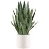 CREATIV green künstliche Pflanze Sansevieria zeylanica, 90cm