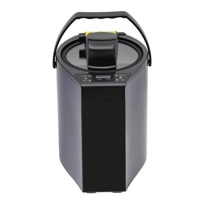 Portable Steamer with 3L Capacity and Remote Control