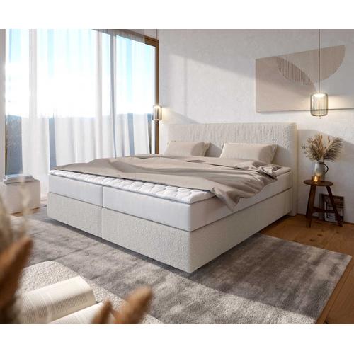 DELIFE Boxspringbett Dream-Well Bouclé Creme-Weiß 200x200 cm mit Taschenfederkernmatratze und Topper Visco, Boxspringbetten