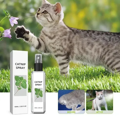 1pc/3 stücke Katzen minz spray lindert die Angst der Katze und erhöht die Vitalität des Haustieres Gesundheits spray Katze liefert Tier gesundheitspflege