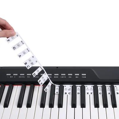 Piano Keyboard Note Labels 88 Keys / 61 Keys Removable Piano Notes Guide For Beginner Music Notes