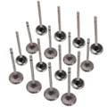 16x 7701473354 Valvola di scarico per Renault 1.4 1.6 16V Clio Per Kangoo Megane Laguna Scenic 8200356346 7701471379