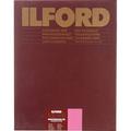 Ilford Multigrade FB Warmtone Paper (Glossy, 16 x 20" , 50 Sheets) 1865581