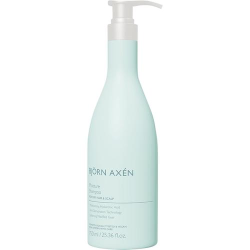 BJÖRN AXÉN - Shampoo 750 ml