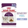 48x85g Jelly Sensory Feel Royal Canin Wet Cat Food