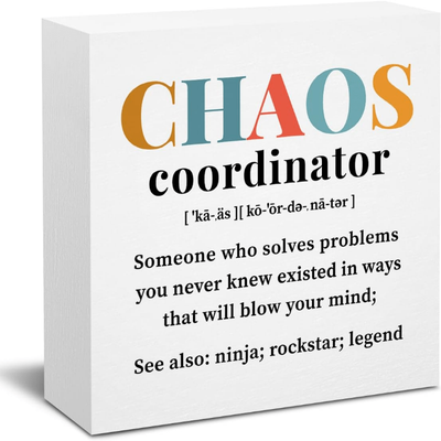 TEMU Chaos Coordinator Pvc Sign - Featherless Decorative Paperweight, No Electricity Required, Appreciation Gift For Teachers, Nurses, Coworkers - 1pc Desk Accessory For Office, Home (4x4 Inches)