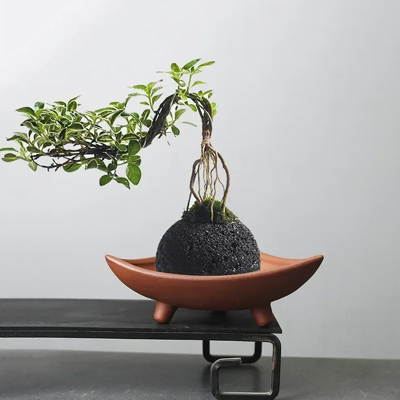 Personal isierte Keramik Blumentöpfe für Bambus Indoor Mikro Landschaft Pflanzen lila Ton Topf Dekoration Image