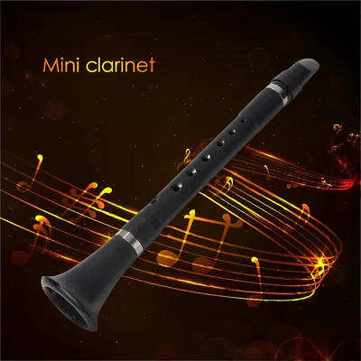 ABS Clarinet B Flat Professional Performance Clarinet for Beginner Woodwind Musical Instrument with