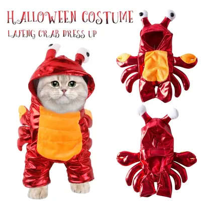 Pet+Costumes